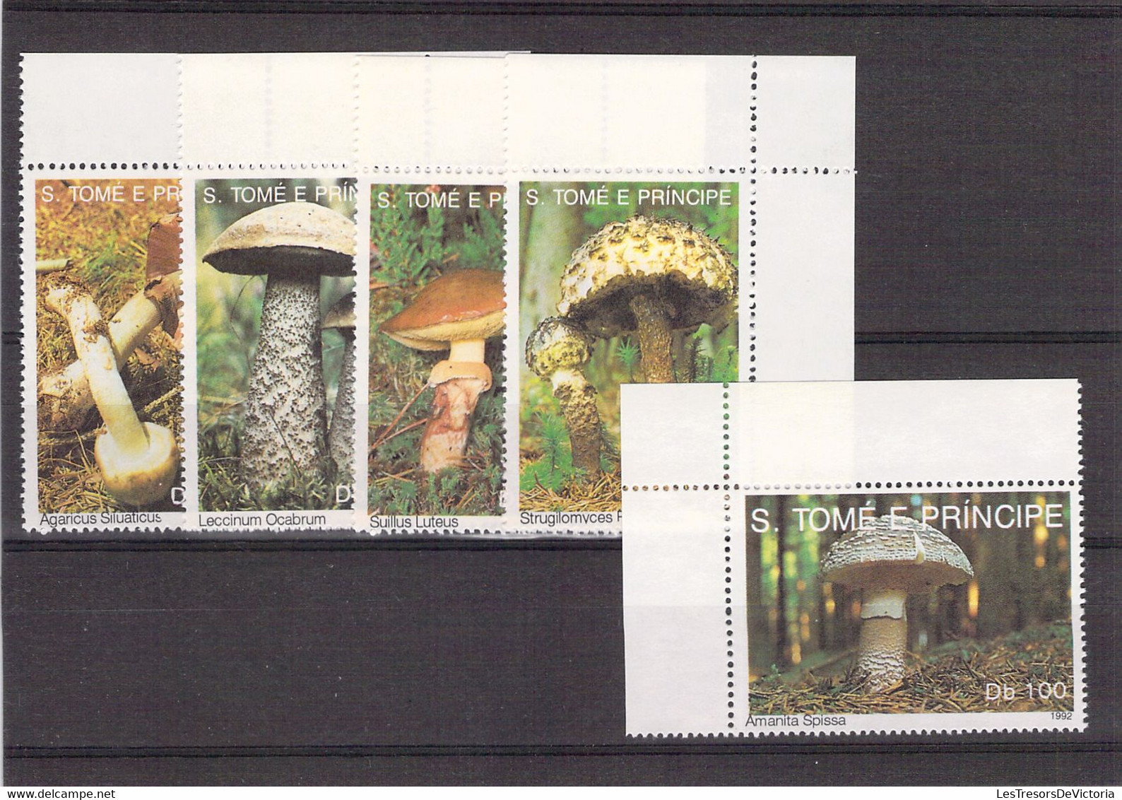 Lot Timbres Et Blocs Thème Champignon - Mushroom - S Tome E Principe - Champignons