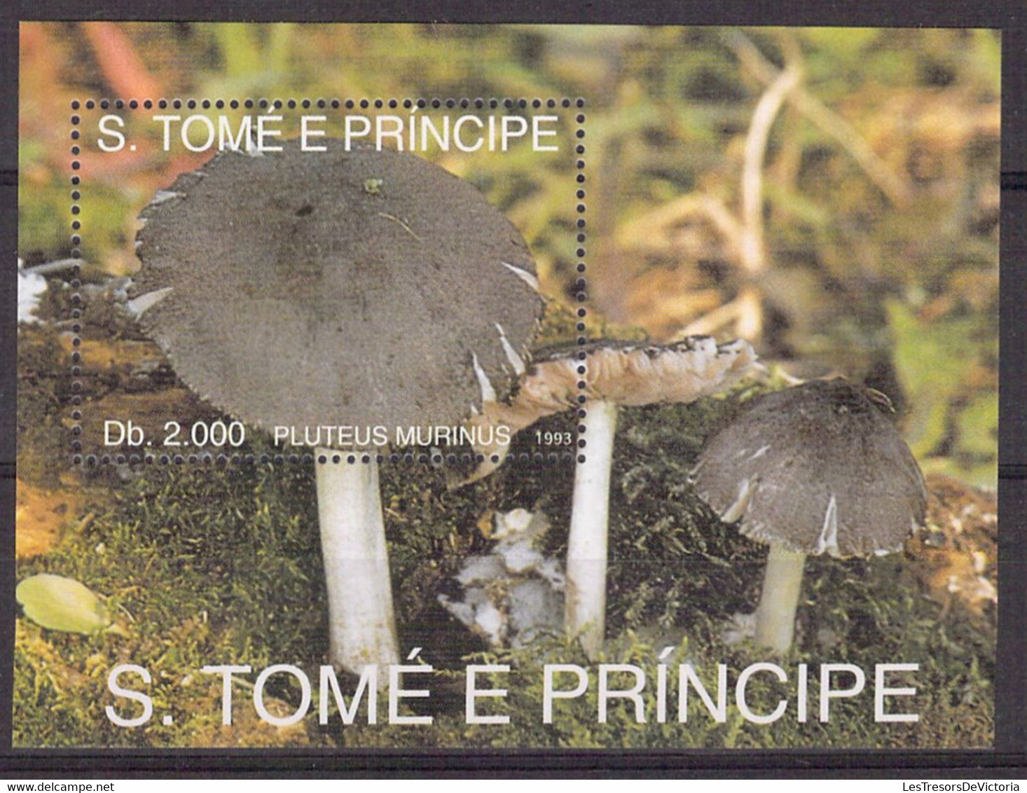 Lot Timbres Et Blocs Thème Champignon - Mushroom - S Tome E Principe - Mushrooms