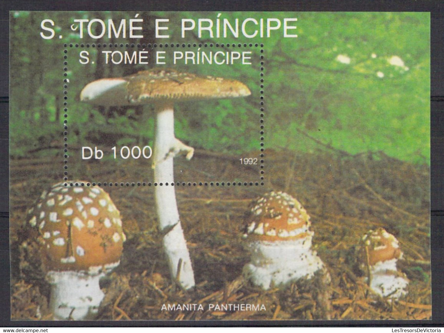 Lot Timbres et blocs thème champignon - Mushroom - S Tome e principe