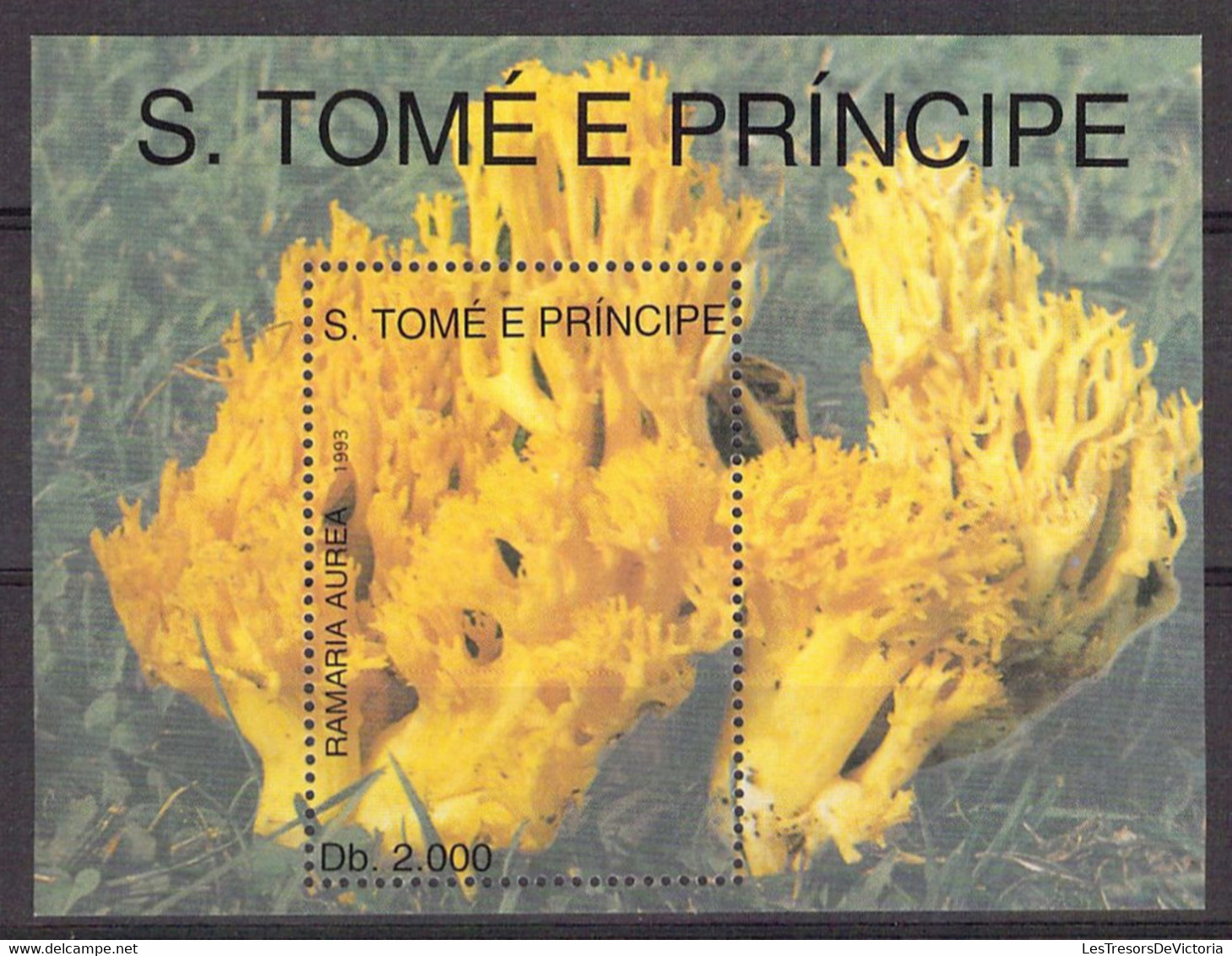 Lot Timbres et blocs thème champignon - Mushroom - S Tome e principe