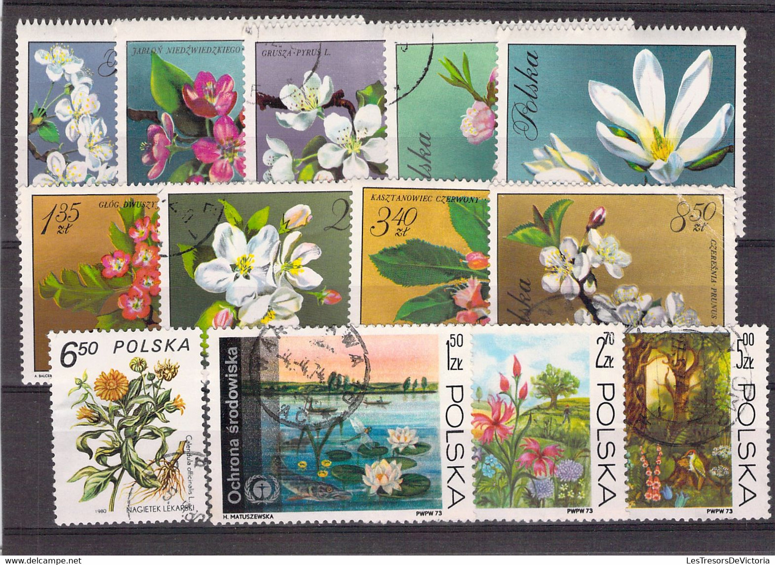 Lot De Timbres Thème Fleurs -  Pologne - Canada - Chine Etc. - Autres & Non Classés