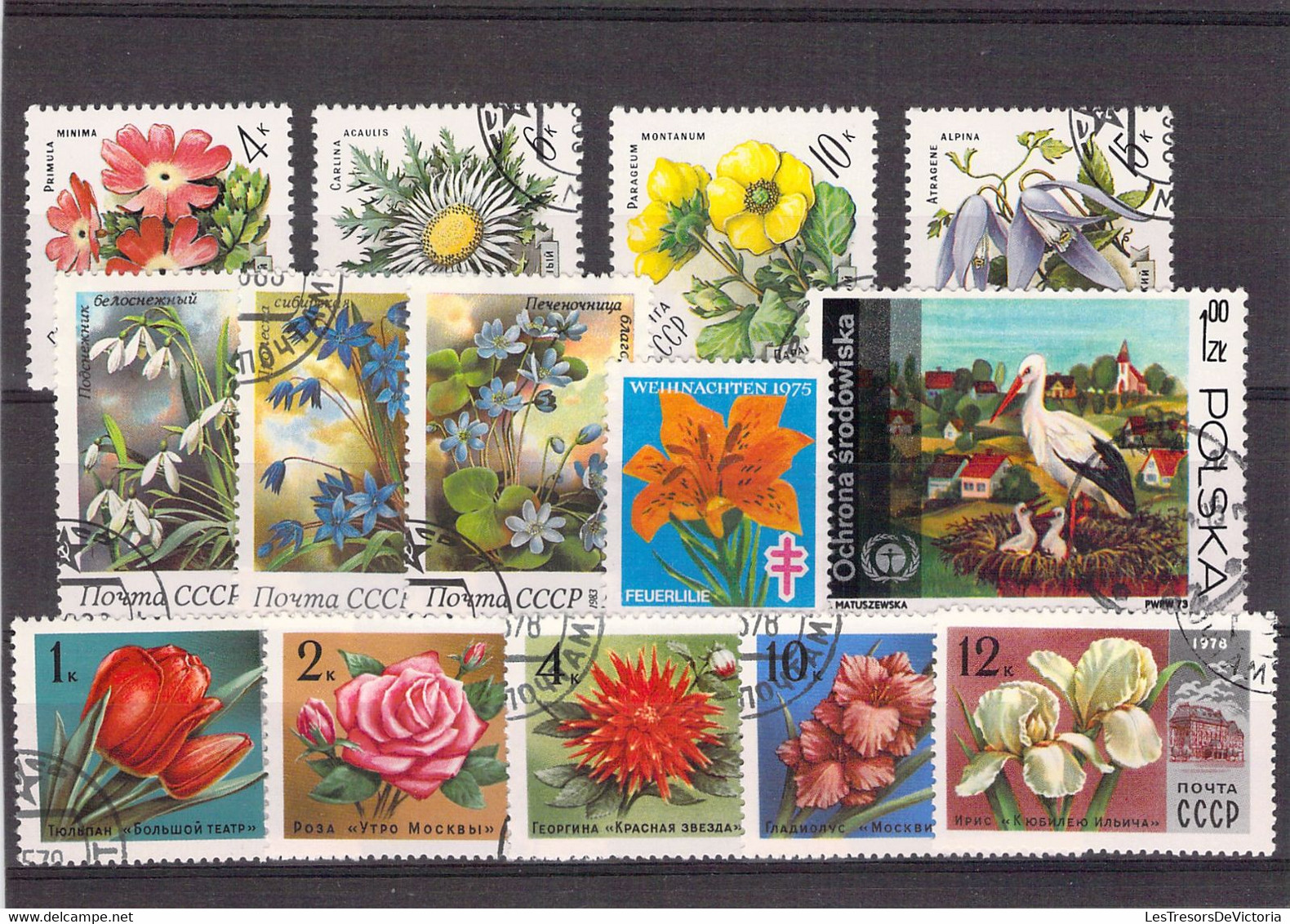 Lot De Timbres Thème Fleurs -  Pologne - Canada - Chine Etc. - Other & Unclassified