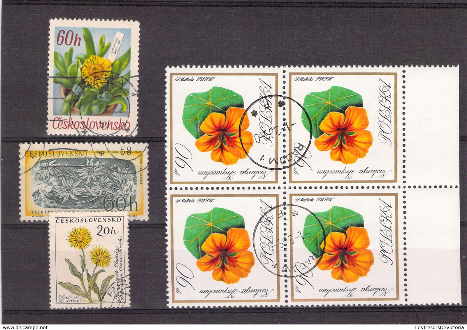 Lot De Timbres Thème Fleurs -  Pologne - Royaume Du Burrundi - Argentine Etc. - Other & Unclassified