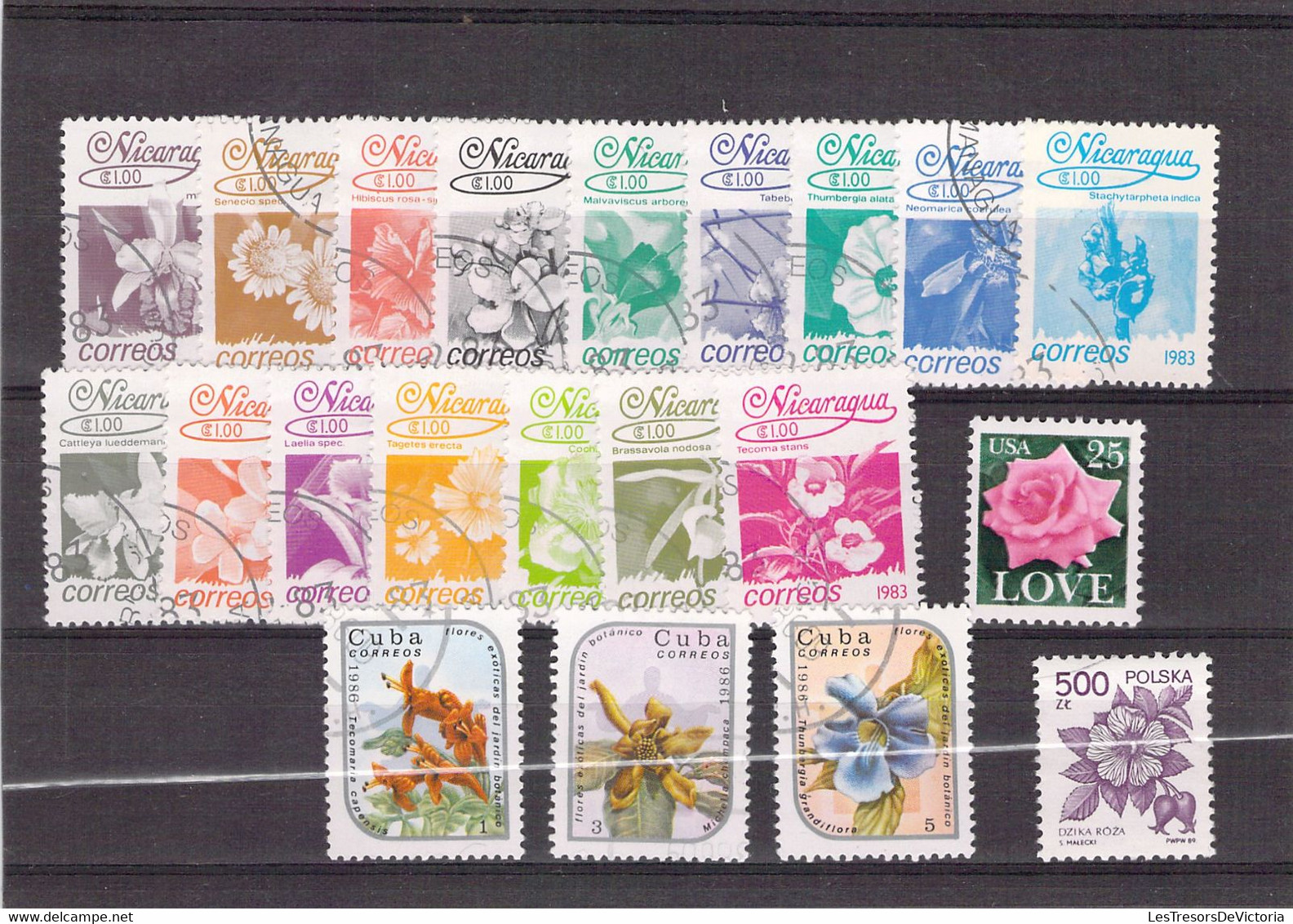 Lot De Timbres Thème Fleurs -  Chine - Congo Belge - Nicaragua  - Cuba Etc. - Sonstige & Ohne Zuordnung