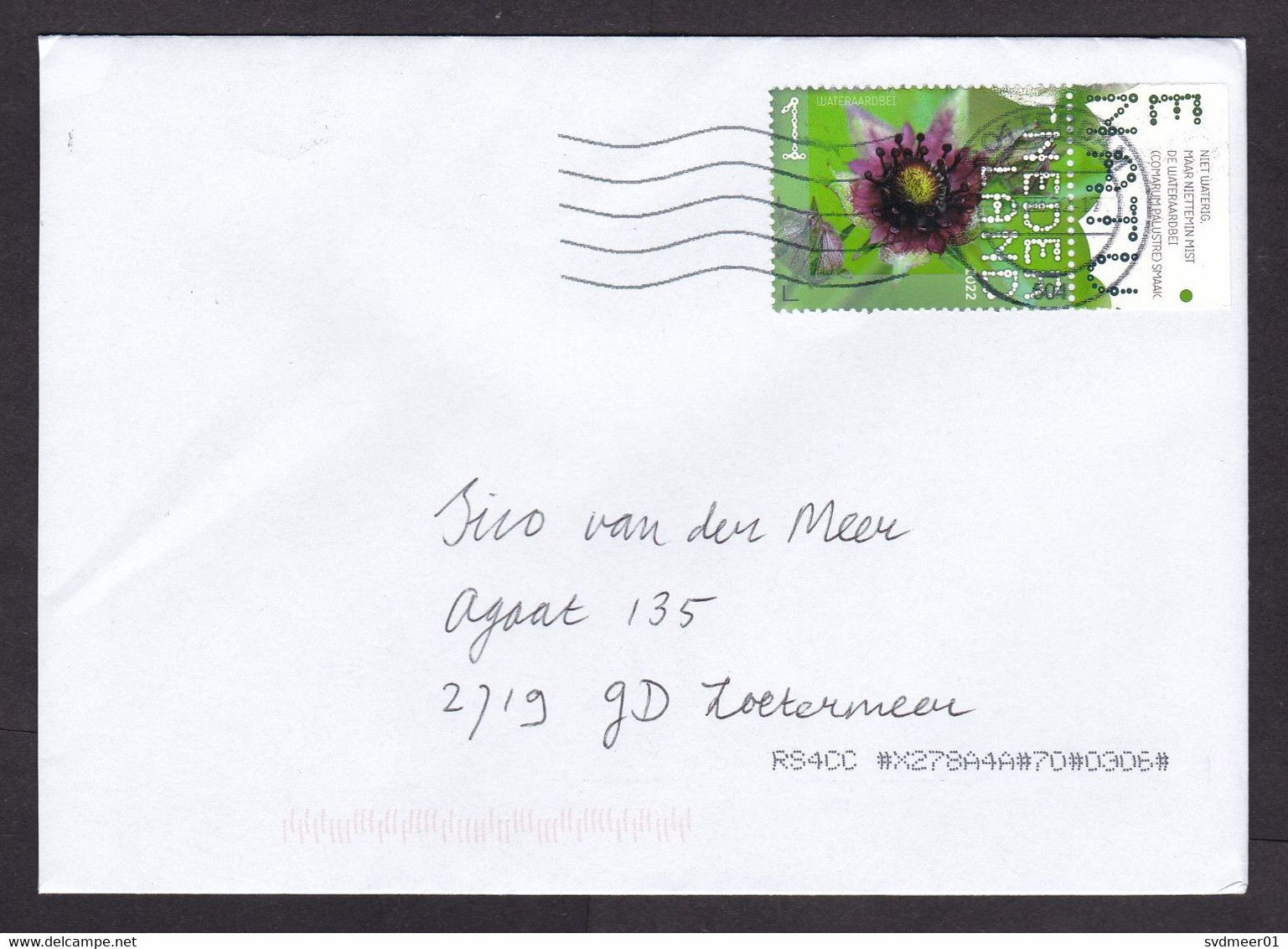 Netherlands: Cover, 2022, 1 Stamp + Tab, Water Strawberry Flower (traces Of Use) - Storia Postale