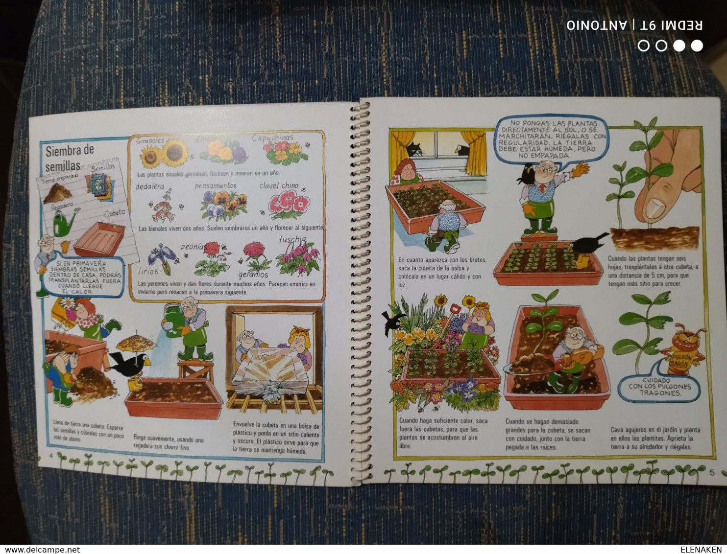 Libro Actividades Sencillas Plantas Ediciones Generales Anaya, Muy Bonito.24 Páginas, Usado, Pero Como Nuevo, Una Infima - Kinder- Und Jugendbücher