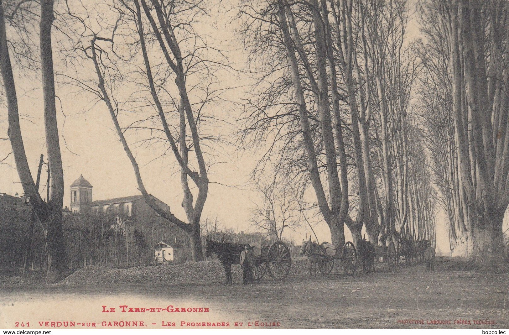 VERDUN-sur-GARONNE (Tarn Et Garonne): Les Promenades Et L'Eglise - Verdun Sur Garonne