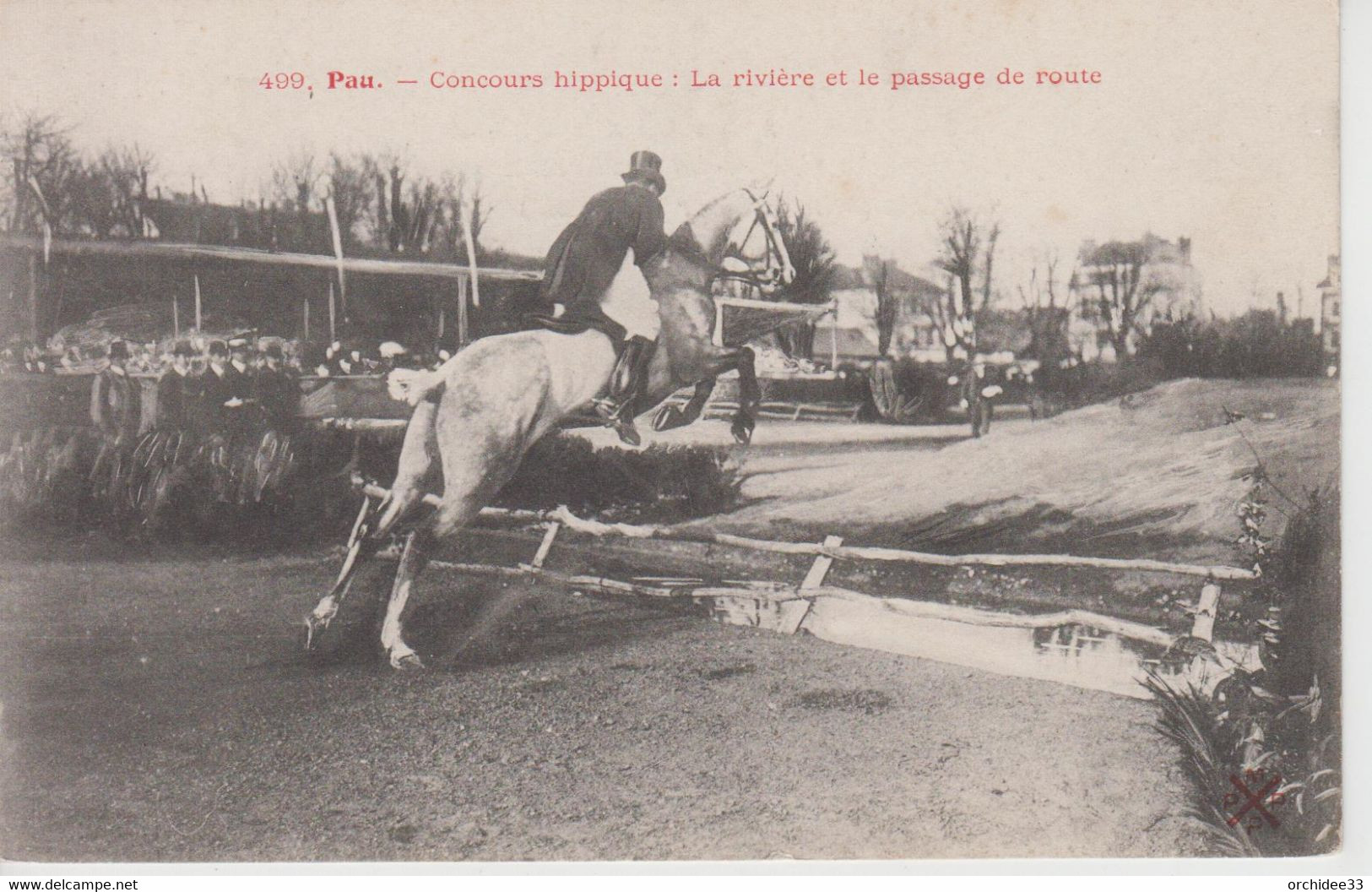 CPA Pau - Concours Hippique - La Rivière Et Le Passage De Route (très Belle Scène) - Pau