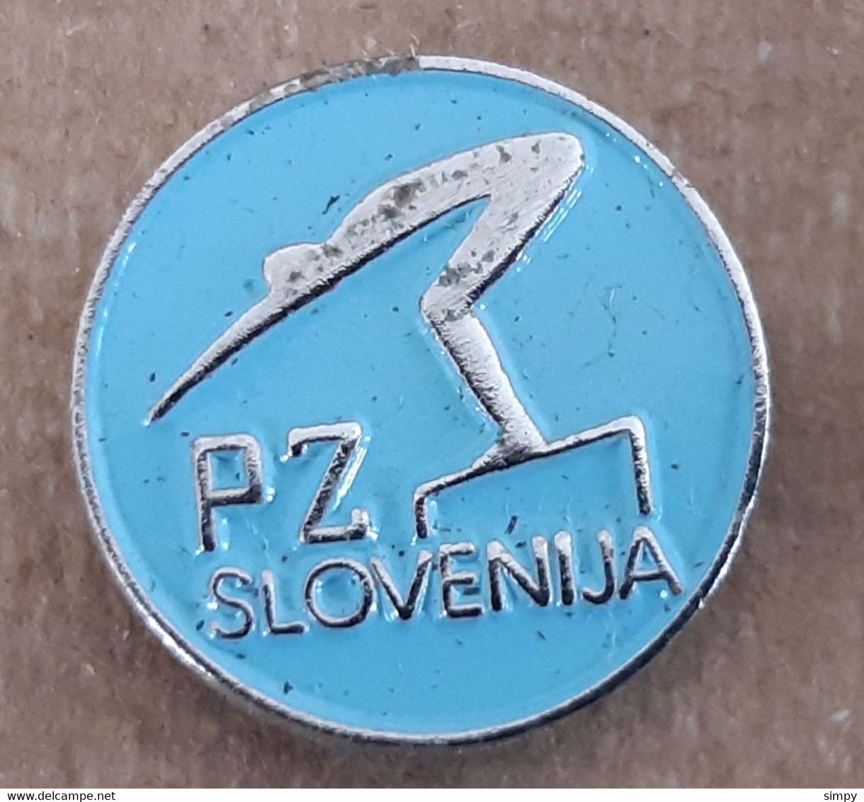 Swimming Association Of Slovenia Pin Badge - Schwimmen