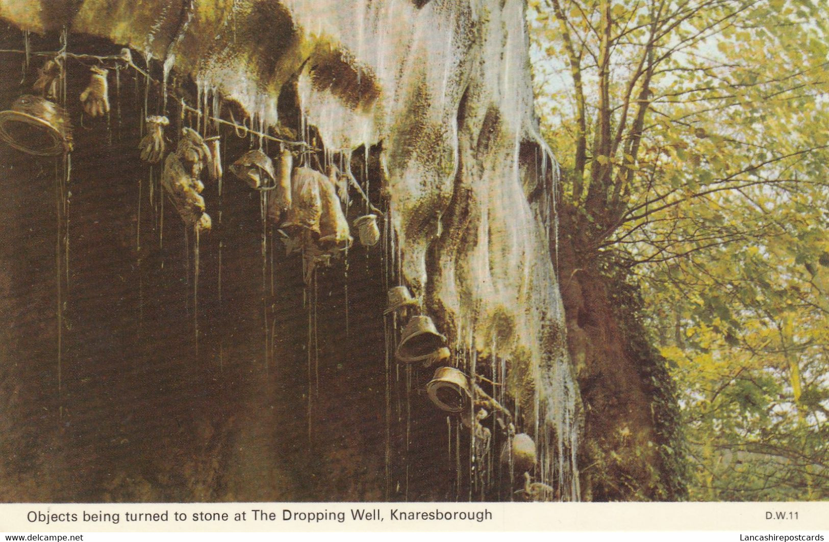 Postcard Knaresborough Nr Harrogate Objects Turning To Stone The Dropping Well My Ref B14579 - Harrogate