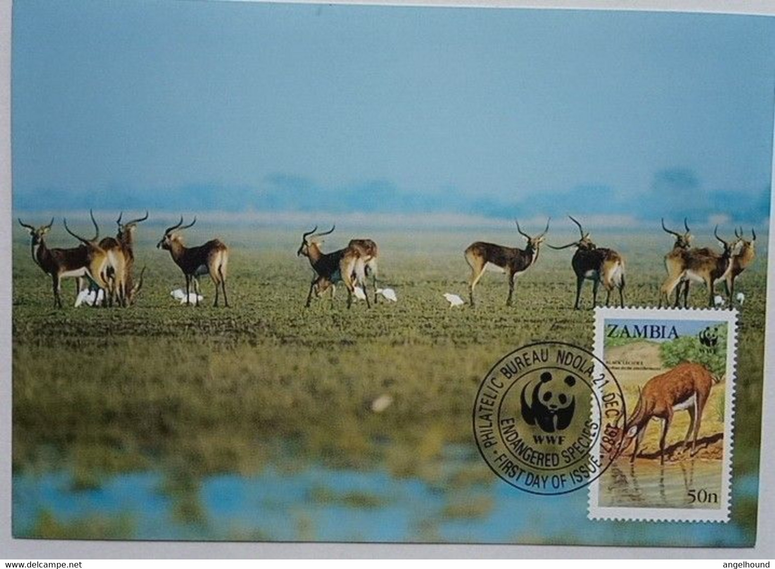 Zambia Maxicard, Black Lechwe - Sambia