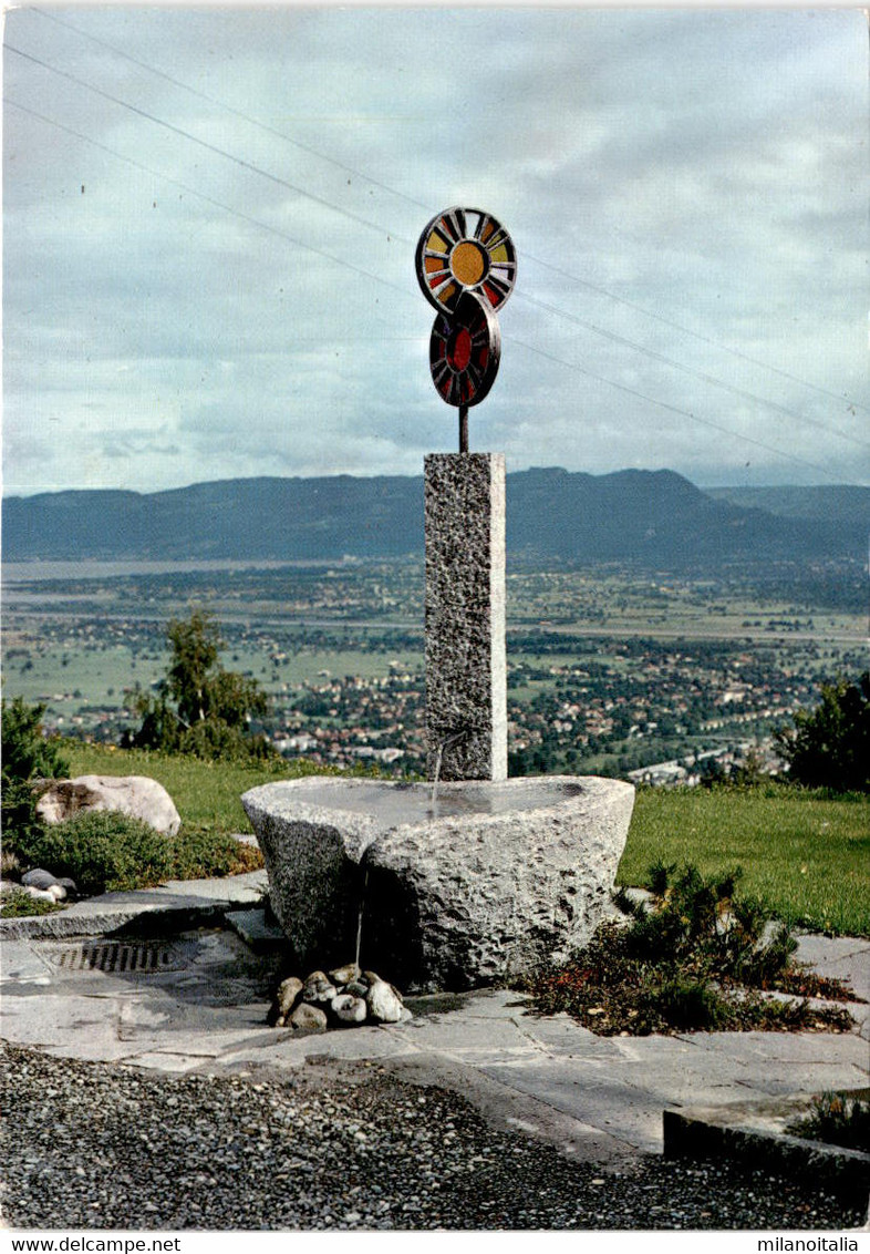 "Sonneblick"-Brunnen Beim Evangelischen Sozialheim Walzenhausen * 30. 7. 1974 - Walzenhausen