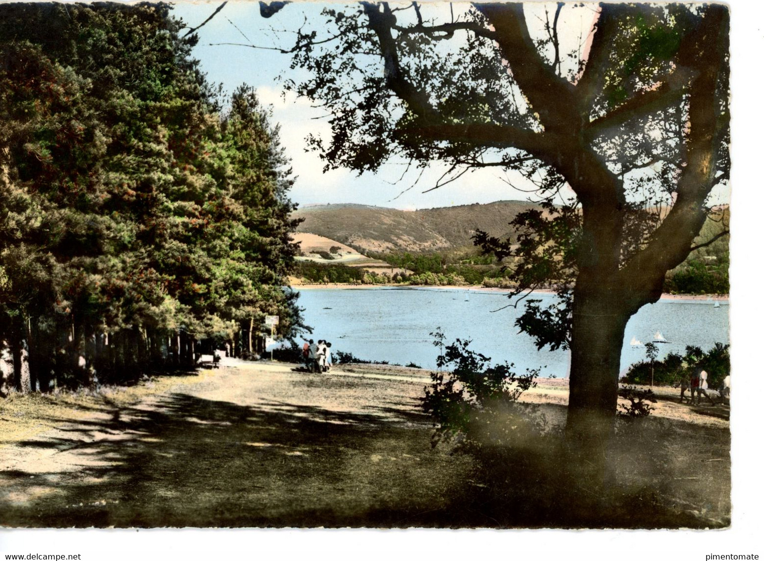 REVEL LE BASSIN DE SAINT FERREOL ET LES PINS - Revel