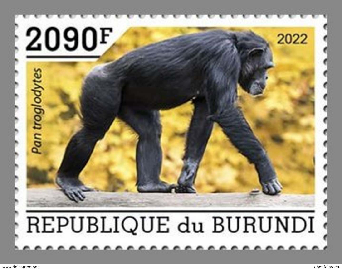 BURUNDI 2022 MNH Chimpanzees Schimpansen Chimpanzes 1v - OFFICIAL ISSUE - DHQ2211 - Chimpanzees