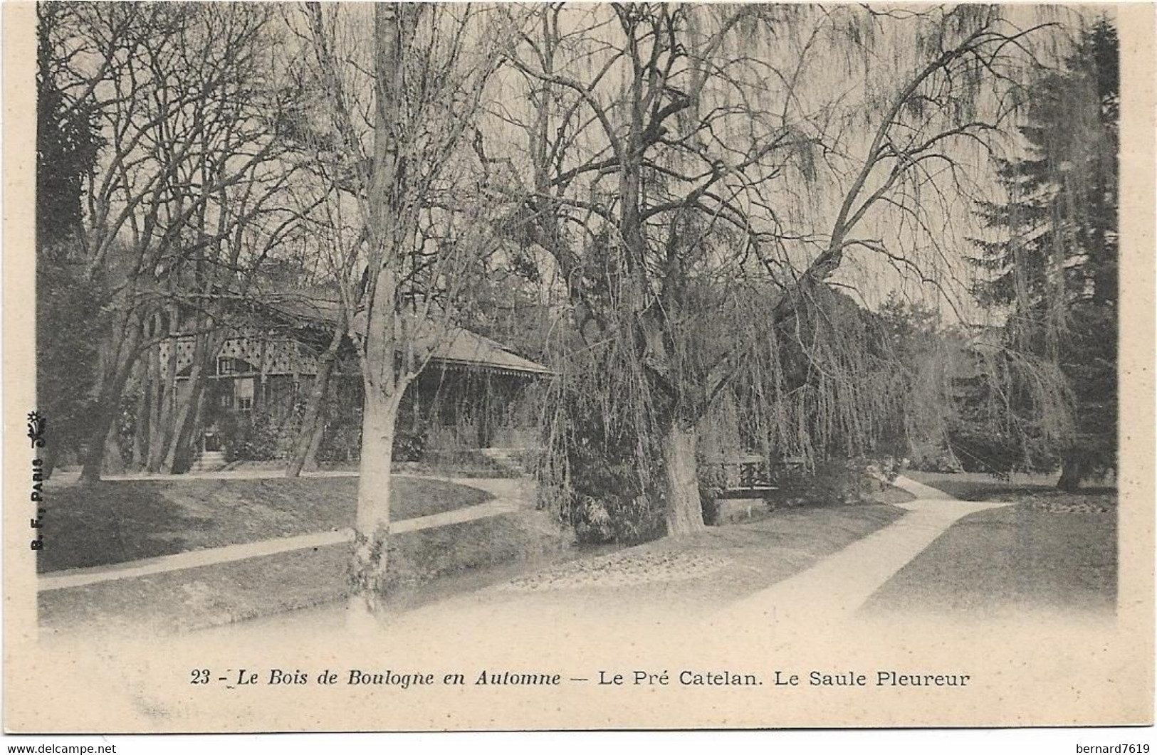 75 Paris 75016  -  Bois De Boulogne  - Le Pre Catalan -   Le Saule Pleureur - Arrondissement: 16