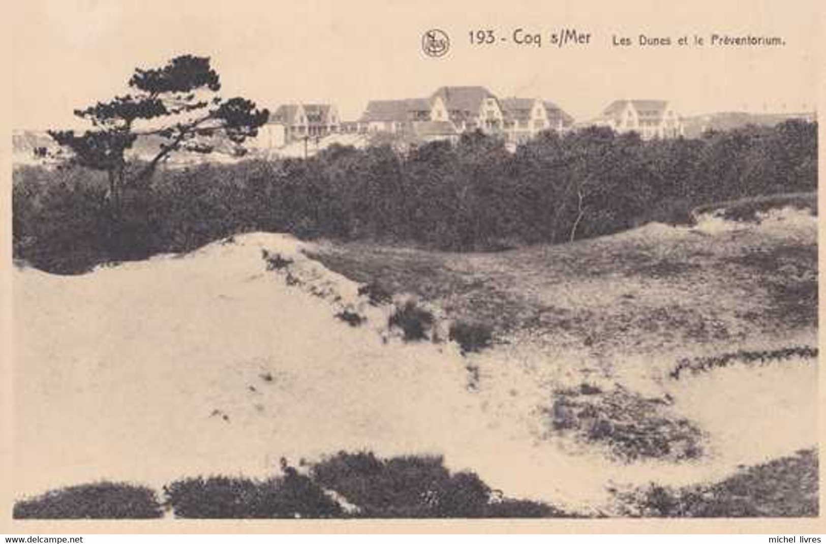 De Haan - Coq Sur Mer - Les Dunes Et Le Préventorium - Pas Circulé - Nels - TBE - De Haan