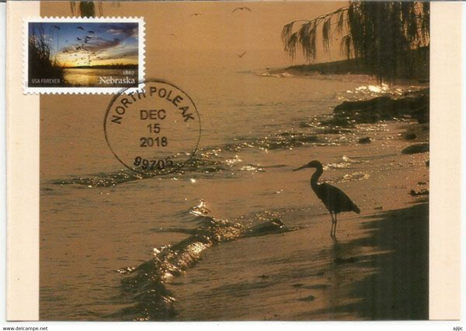 Crane Bird , Platte River. Nebraska. Maximum-Card - Maximumkaarten
