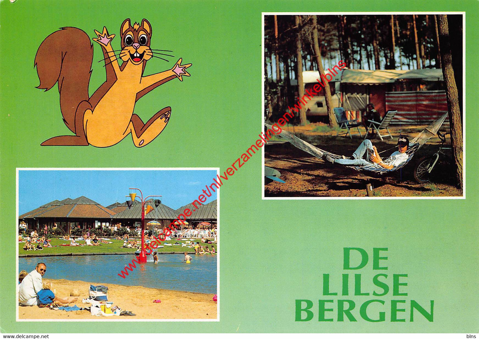 De Lilse Bergen - Lille - Lille