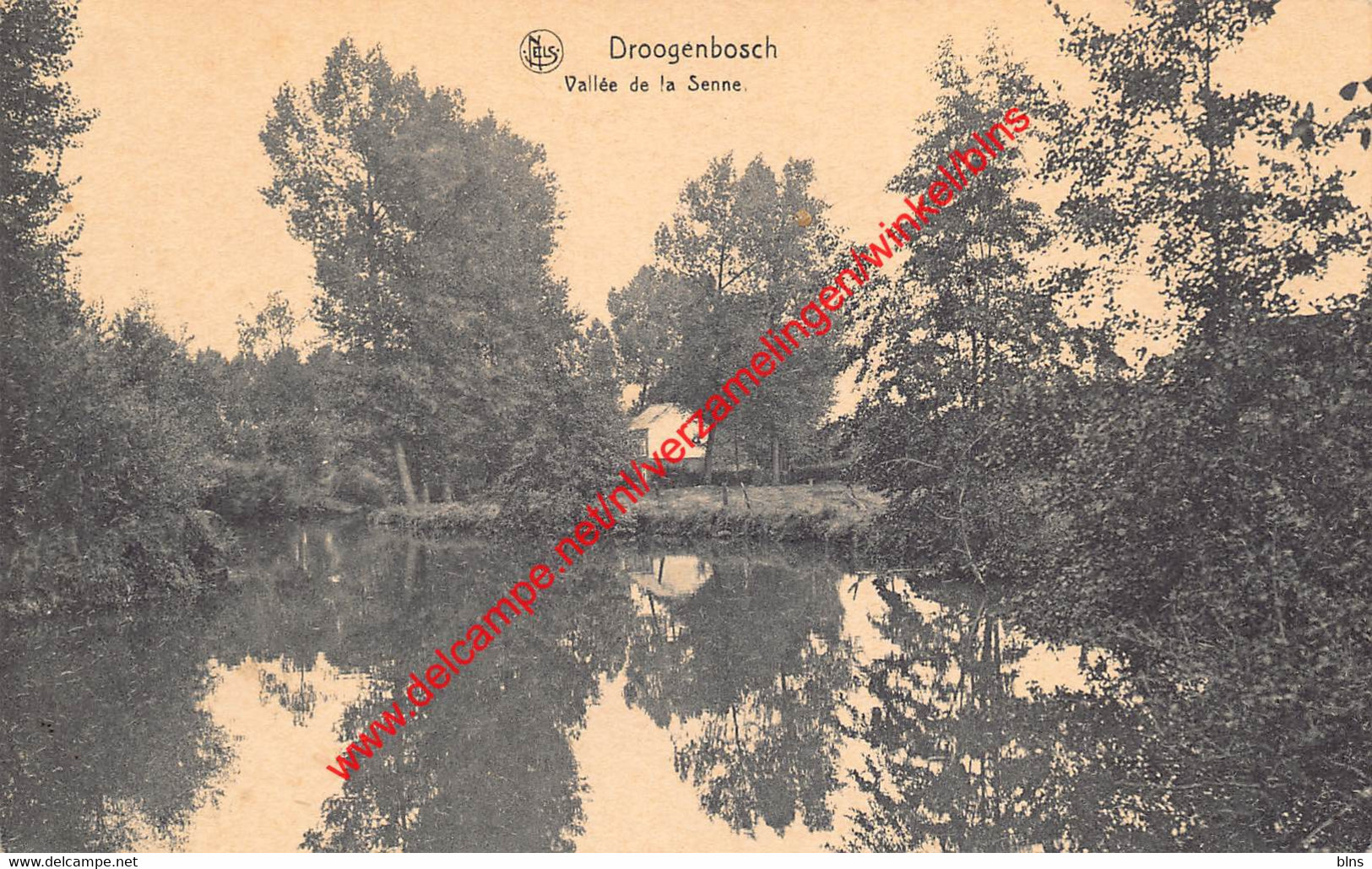 Vallée De La Senne - Droogenbosch - Drogenbos - Drogenbos