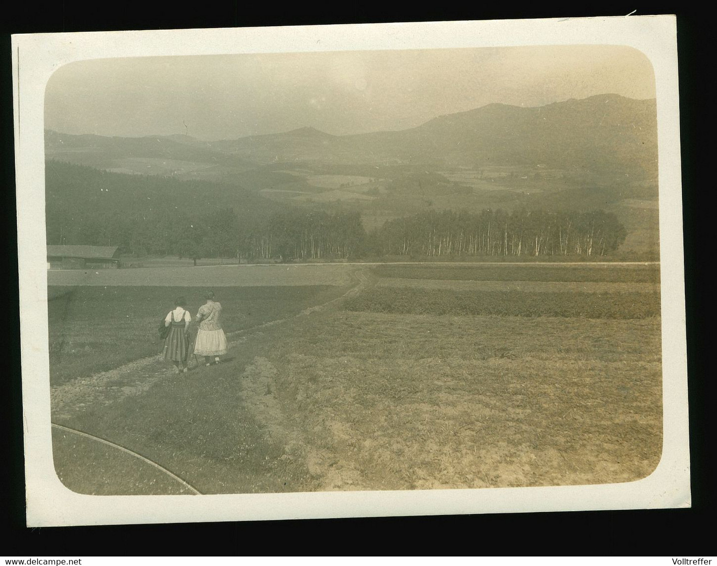 Orig. Foto 1930 Blick Auf Burg Lichteneck Lichtenegg Am Hohen Bogen Rimbach Cham - Cham