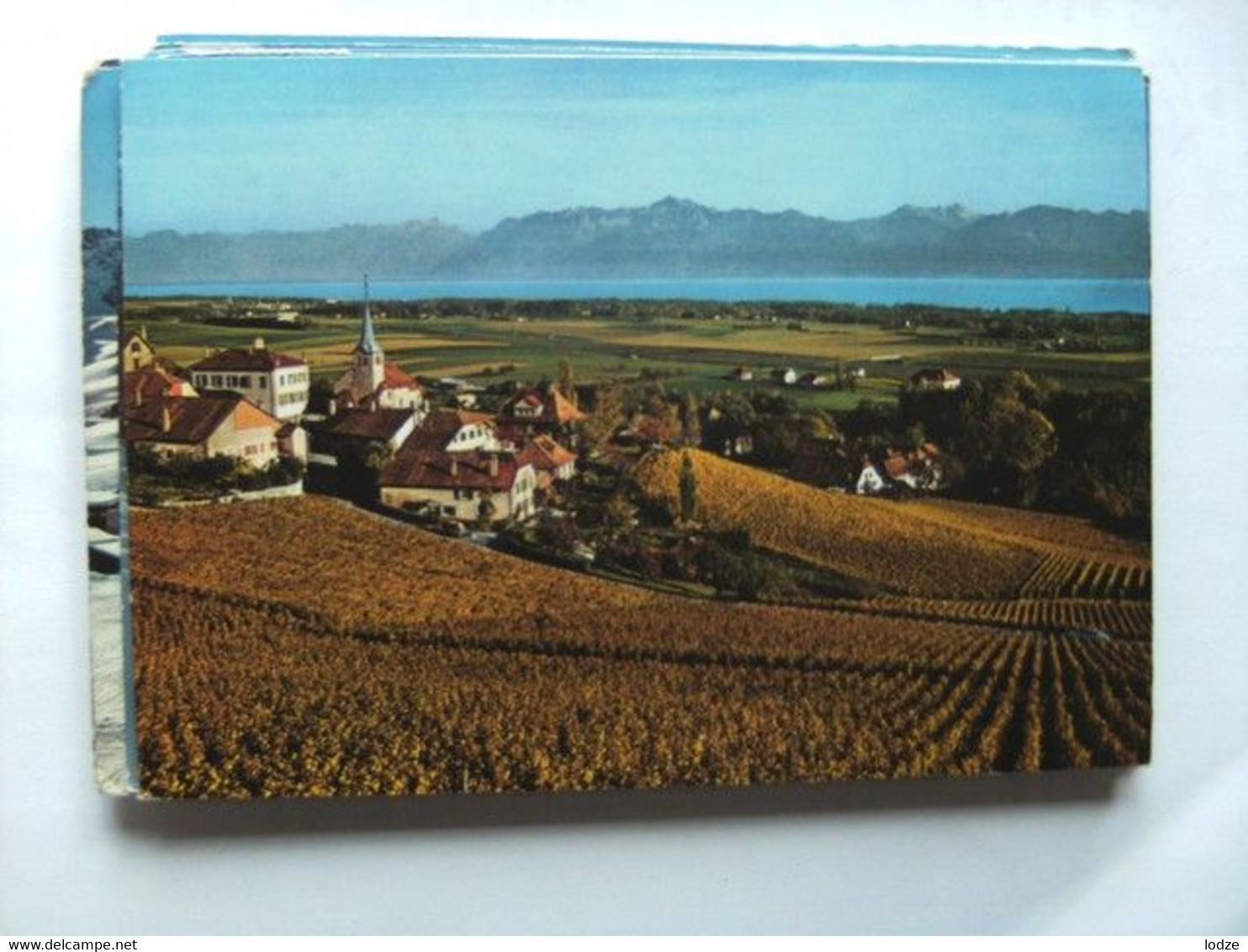 Zwitserland Schweiz Suisse VD Dobbelte Karte Mit Briefmarke Fechy 1985 - Féchy