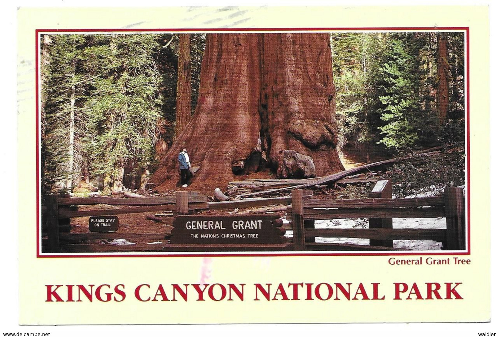 CA - CALIFORNIA  --  KINGS CANYON NATIONAL PARK - Kings Canyon