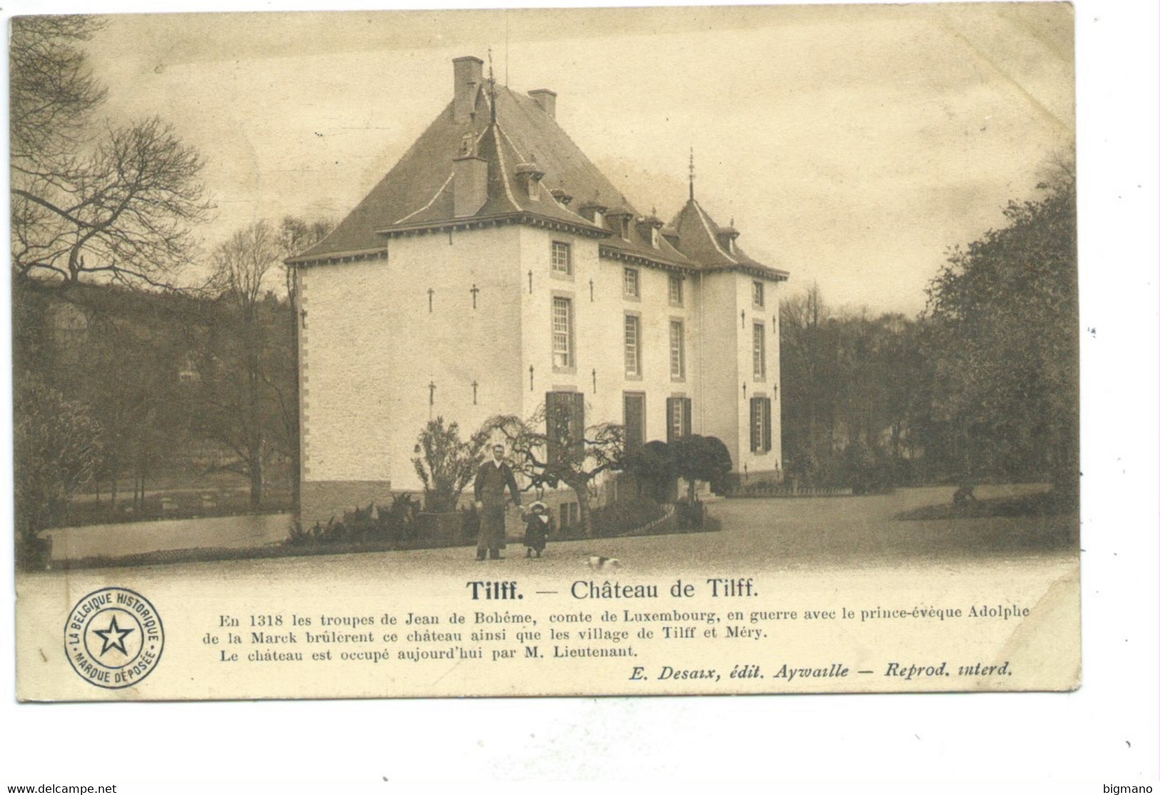 Tilff Château - Esneux