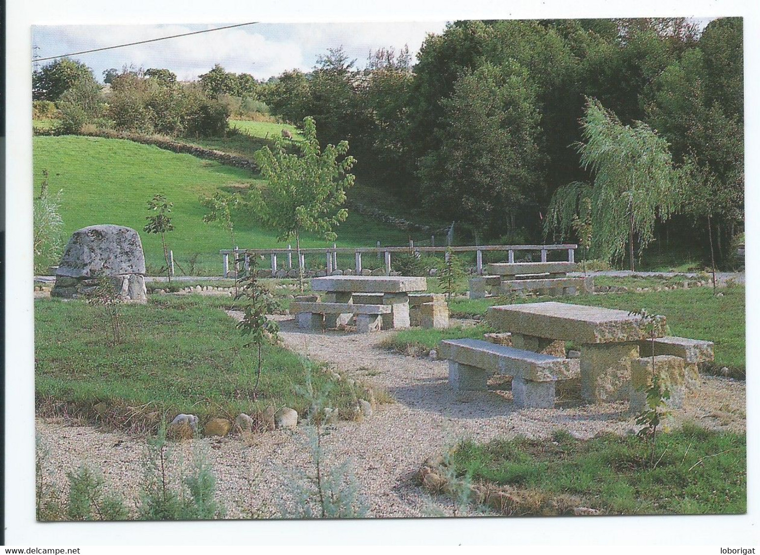 PLAZA DE LA DIPUTACION.- MANZANEDA - ORENSE - GALICIA.- ( ESPAÑA ) - Orense