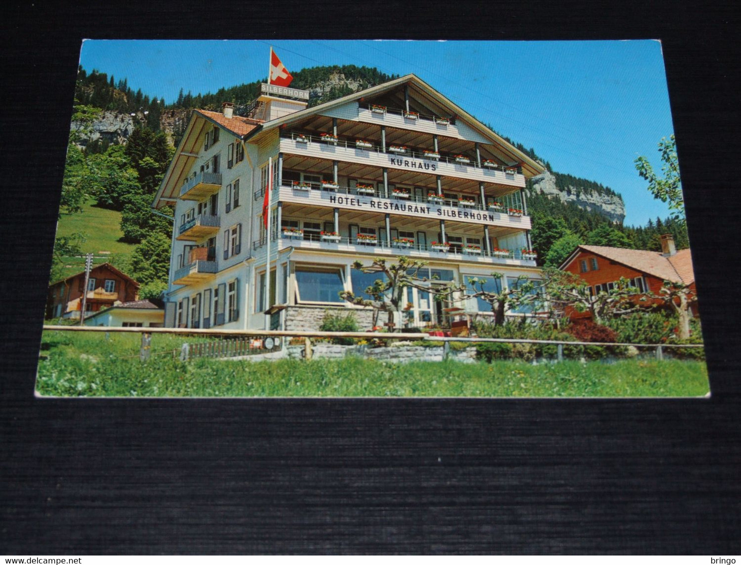 43049-                              HOTEL KURHAUS SILBERHORN, BEATENBERG - Beatenberg