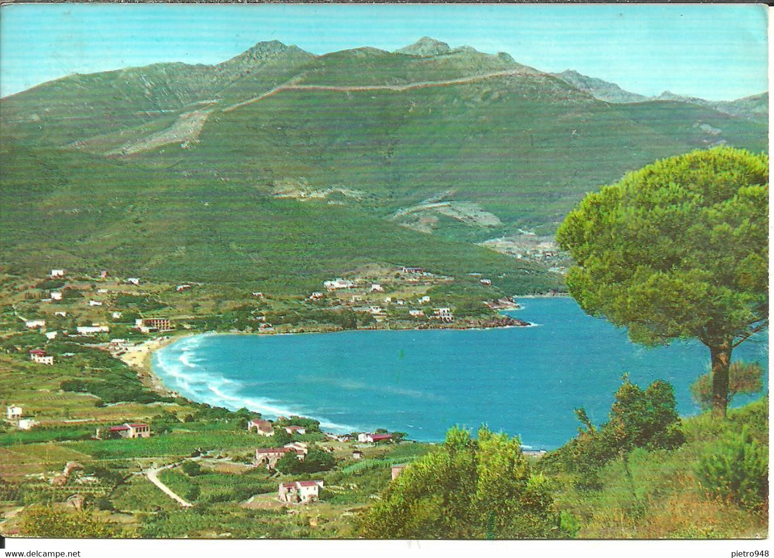 Isola D'Elba, Procchio (Livorno) Panorama Del Golfo, General View Of The Gulf - Livorno