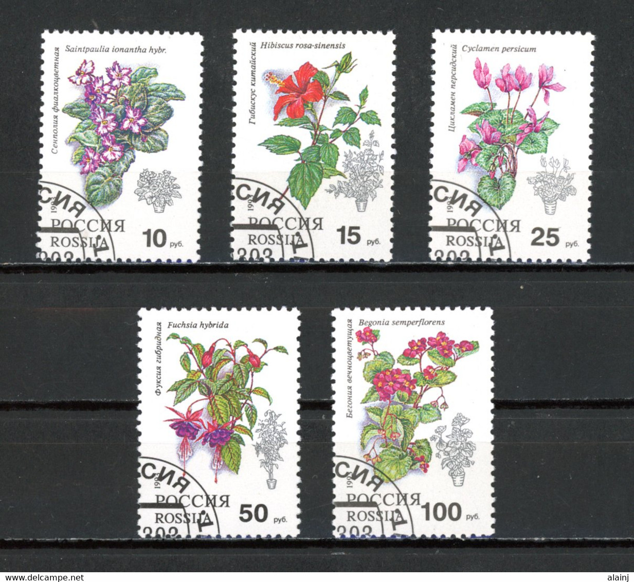 Russie   Y&T   5988 - 5992  Obl    ---   Impeccable. - Used Stamps