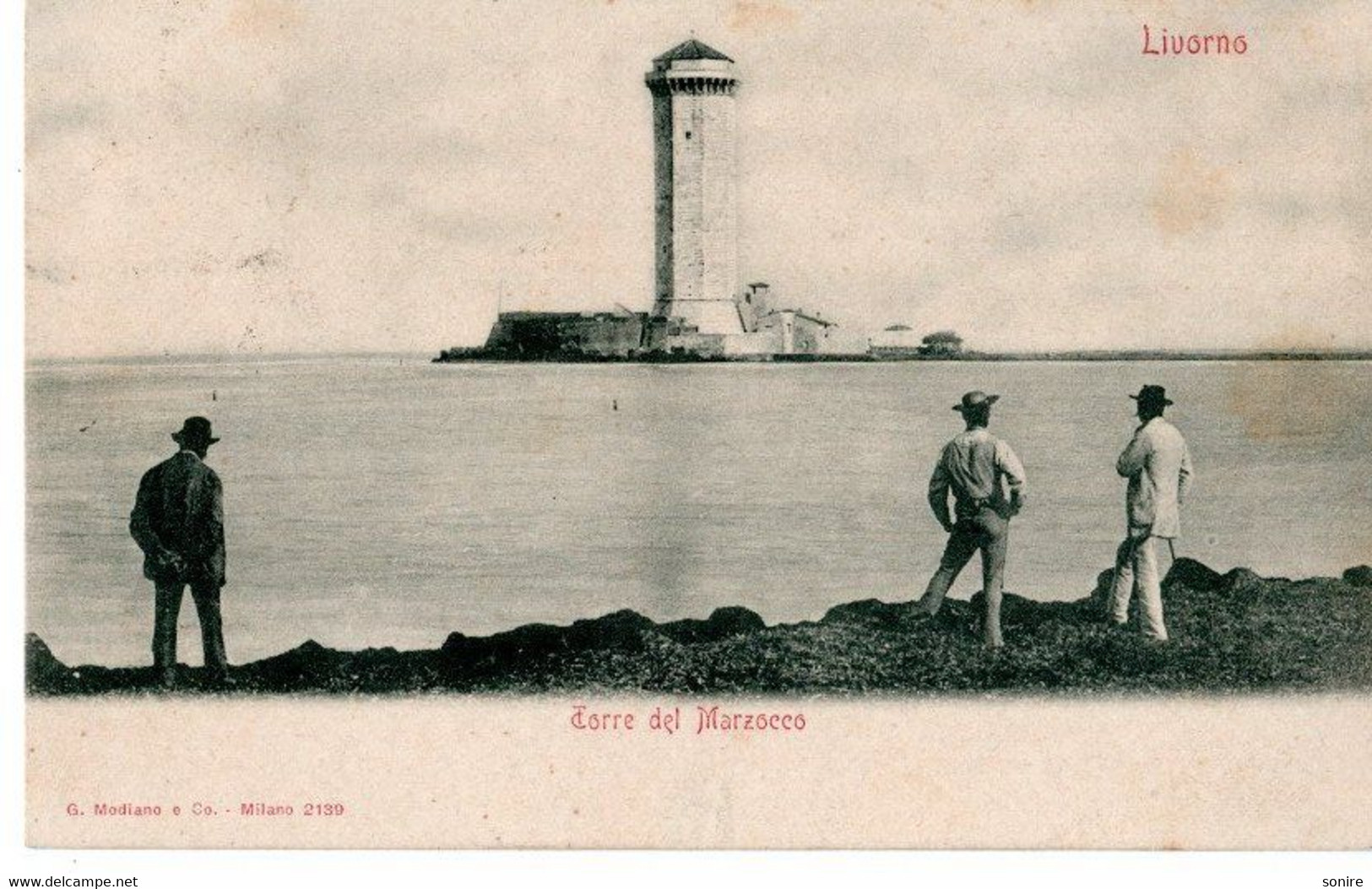 LIVORNO - TORRE DEL MARZOCCO - ED.MODIANO - VG 1902 FP - 6598 - Livorno