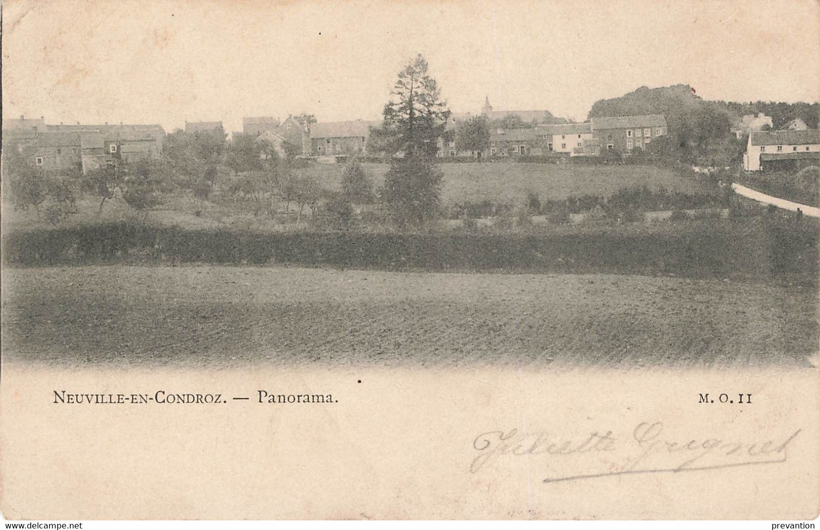 NEUVILLE-en-CONDROZ - Panorama - Carte Circulé - Neupre