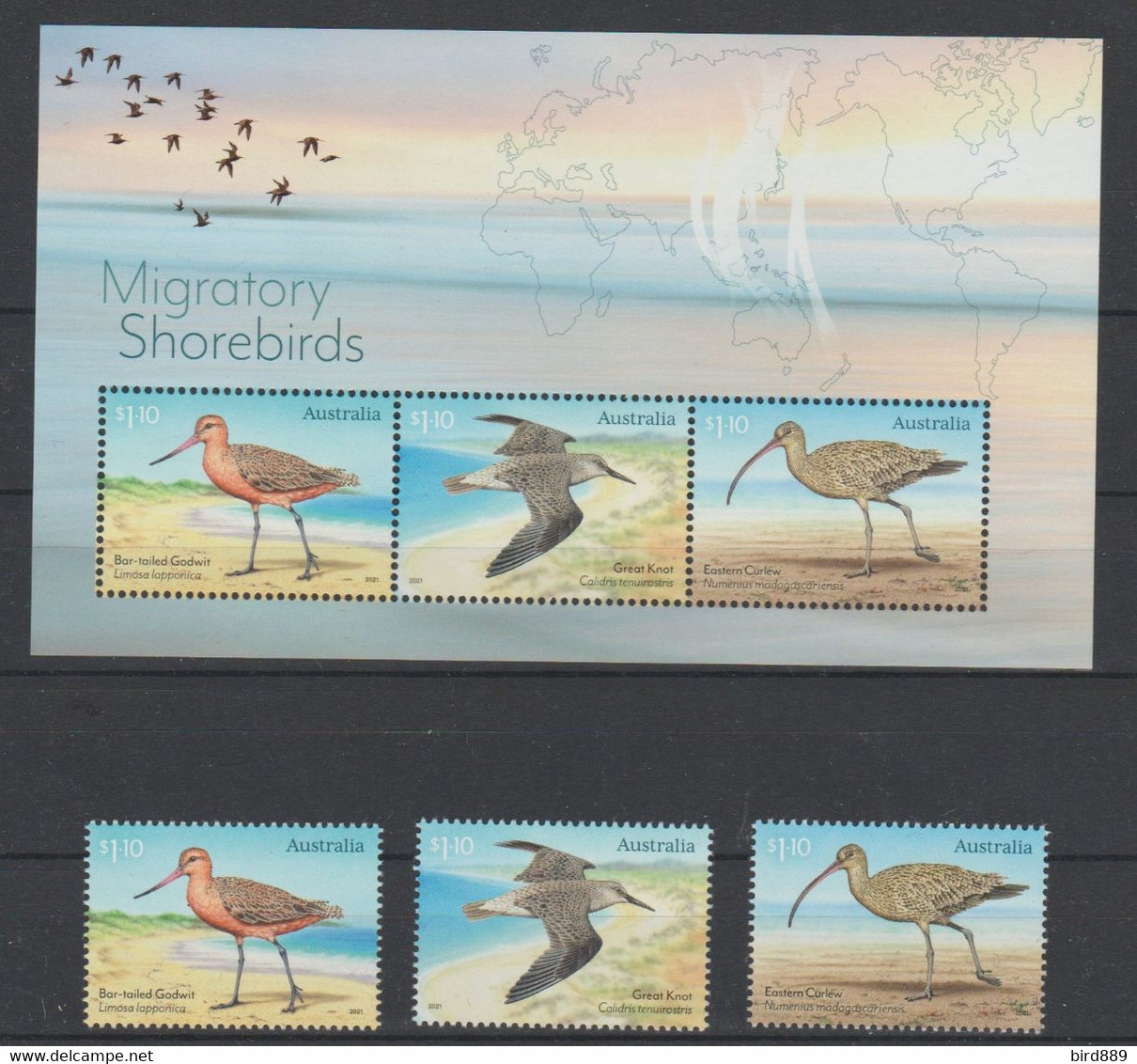 2021 Australia Fauna Bird Migratory Shorebirds Set + Block  MNH - Ungebraucht