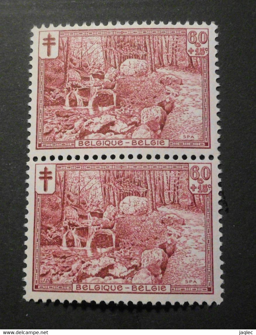 1929 : Cob 296** X 2 :    ( Sans Charnière D45 ) Voir Verso - 1929-1937 León Heráldico