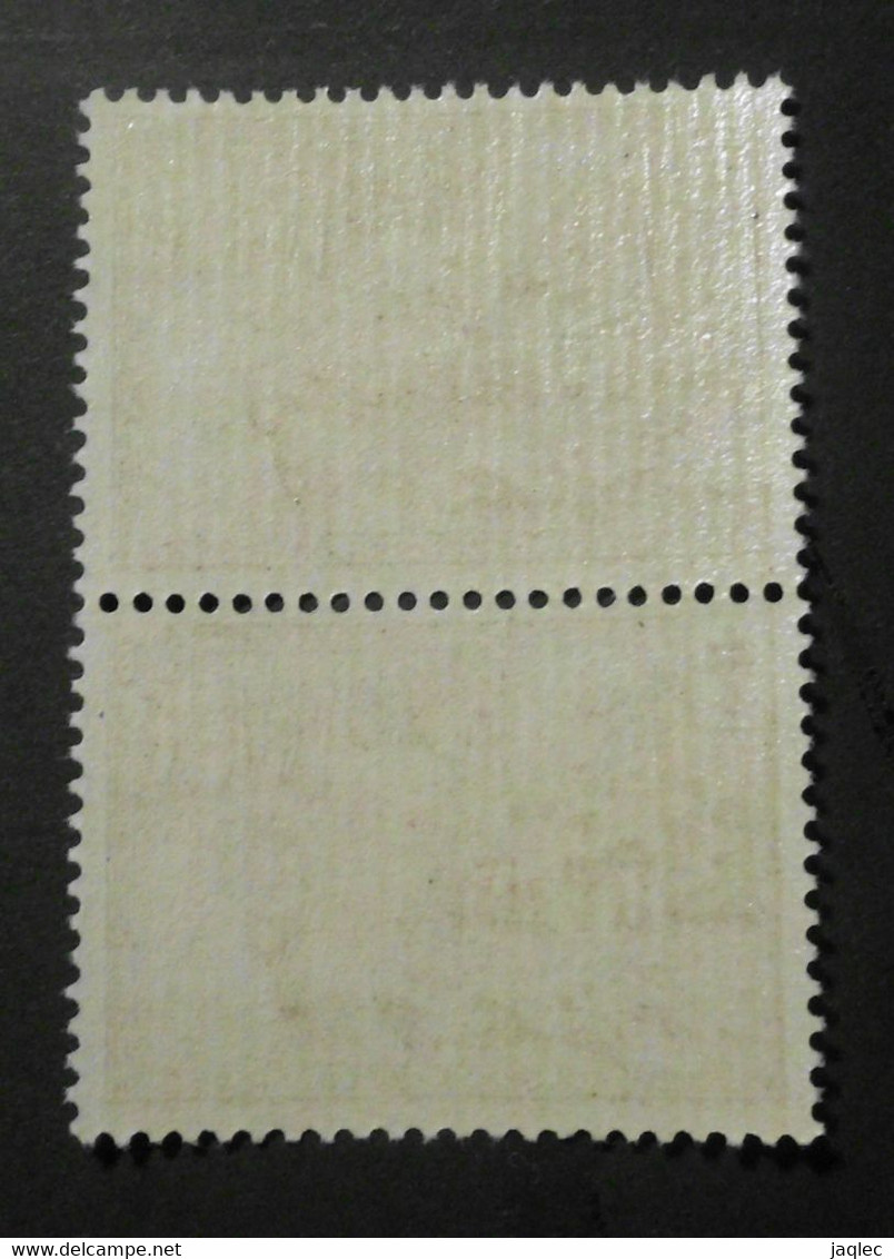 1929 : Cob 296** X 2 :    ( Sans Charnière D45 ) Voir Verso - 1929-1937 León Heráldico