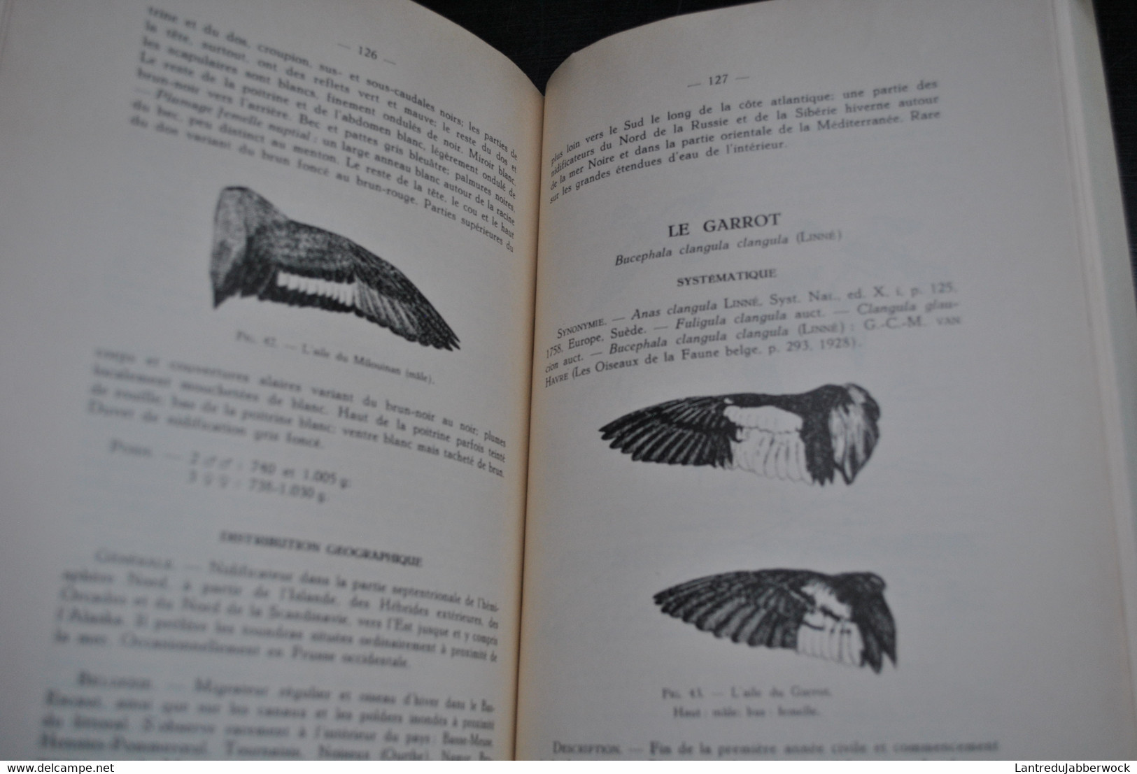 VERHEYEN Les Anatidés De Belgique Institut Royal Des Sciences Naturelles De Belgique 1952 Ornithologie Chasse - Natura