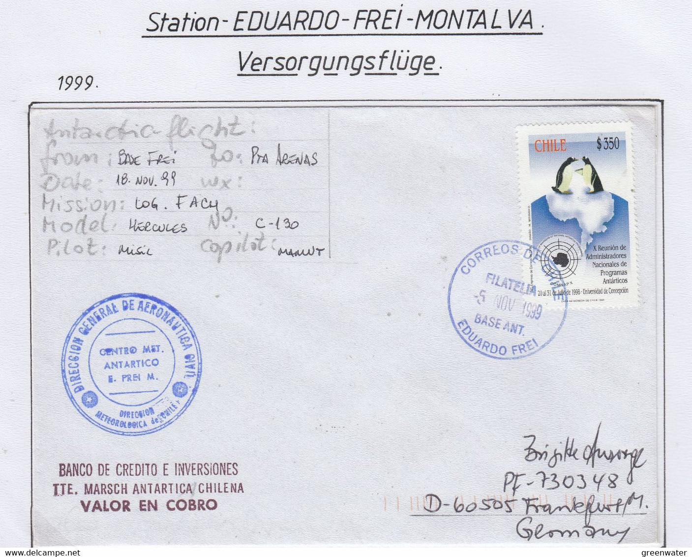 Chile 1999 Antarctic Flight From Base Frei To Punta Arenas 18 NOV 1999(FREI239) - Polar Flights