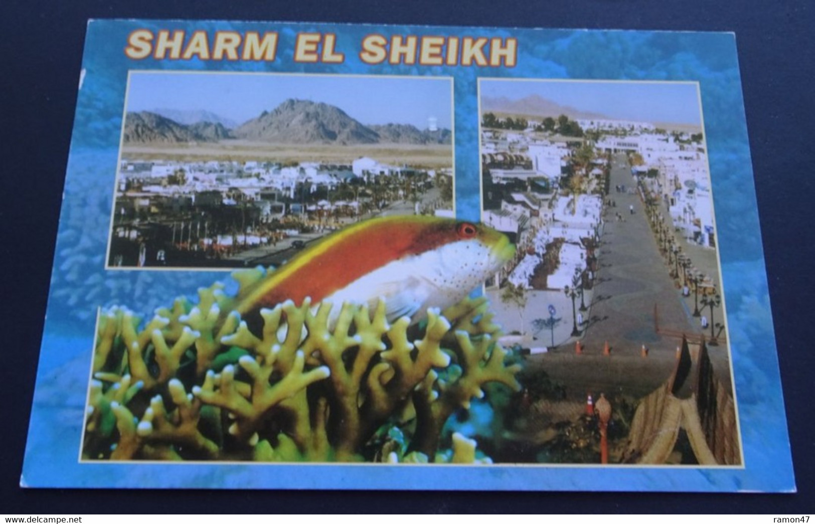 Sharm El Sheikh - Sharm El Sheikh