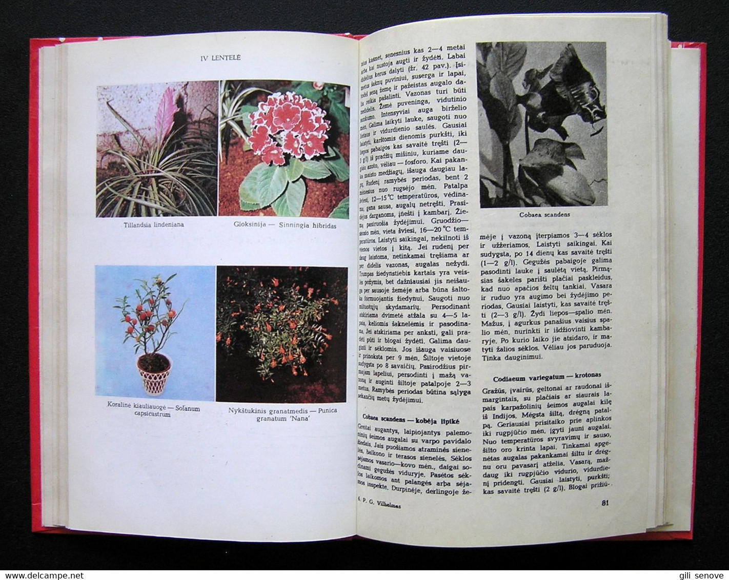 Lithuanian Book / Tūkstantis Patarimų Gėlių Augintojui 1982 - Romane