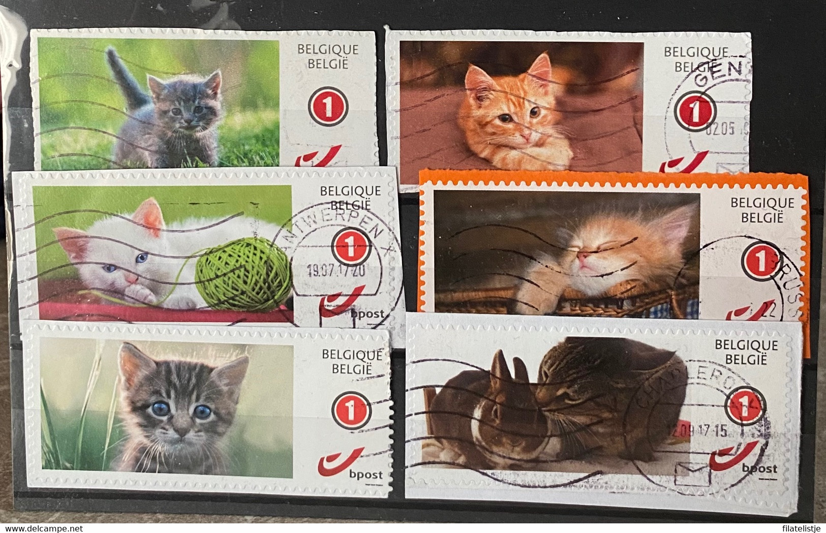 België My Stampt/ Duostamps Katten - Altri & Non Classificati