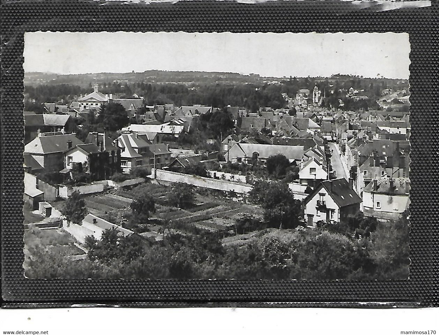 28-NOGENT-le-RETROU-Une Vue Panoramique De L'HOTEL-de-VILLE Et De L'EGLISE SAINT-HILAIRE - Nogent Le Rotrou