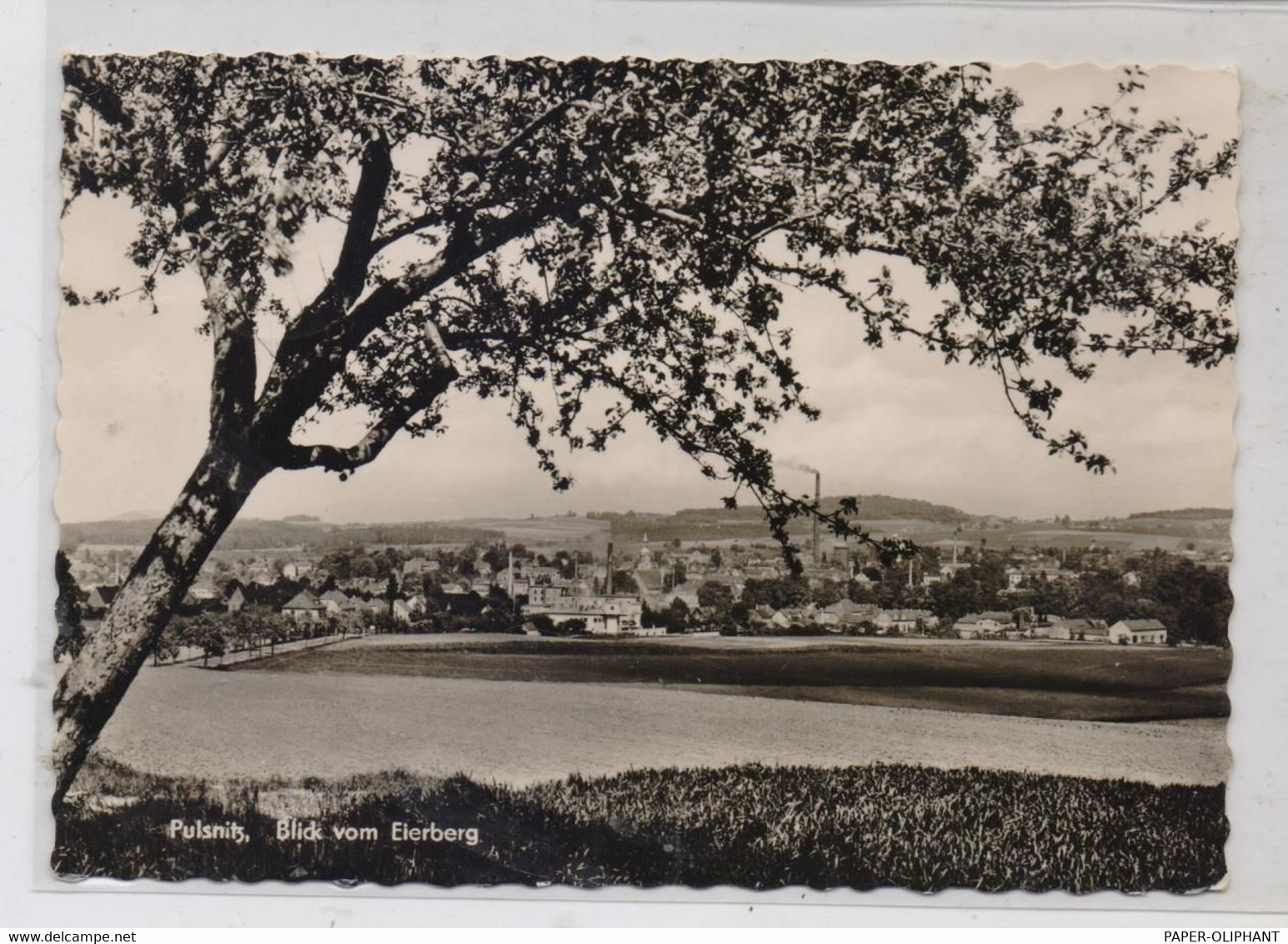 0-8514 PULSNITZ, Blick Vom Eierberg, 1963 - Pulsnitz