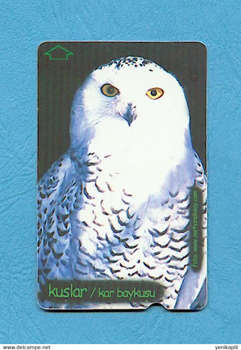 ( 5636 ) - Télécarte TURQUIE - ( Oiseau HIBOU & CHOUETTE ) - *** EC *** - Voir Scan - Owls