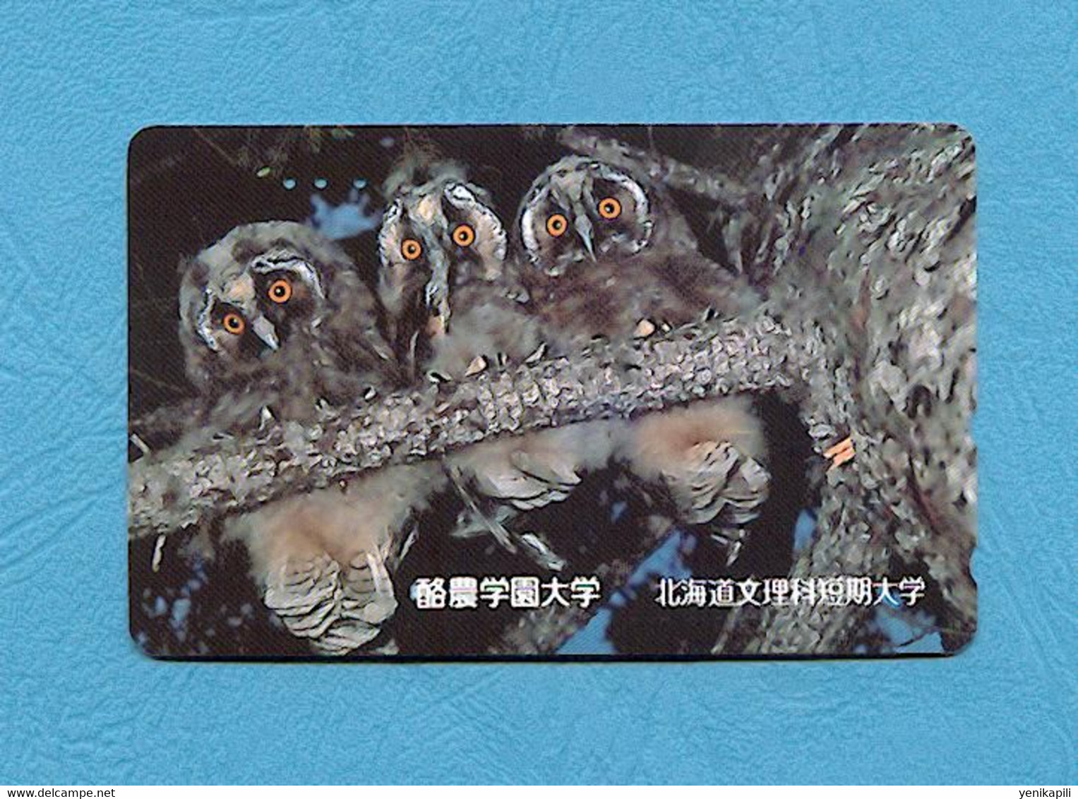 ( 5642 ) - Télécarte JAPON - ( Oiseau HIBOU & CHOUETTE ) - *** TBE *** - Voir Scan - Eulenvögel