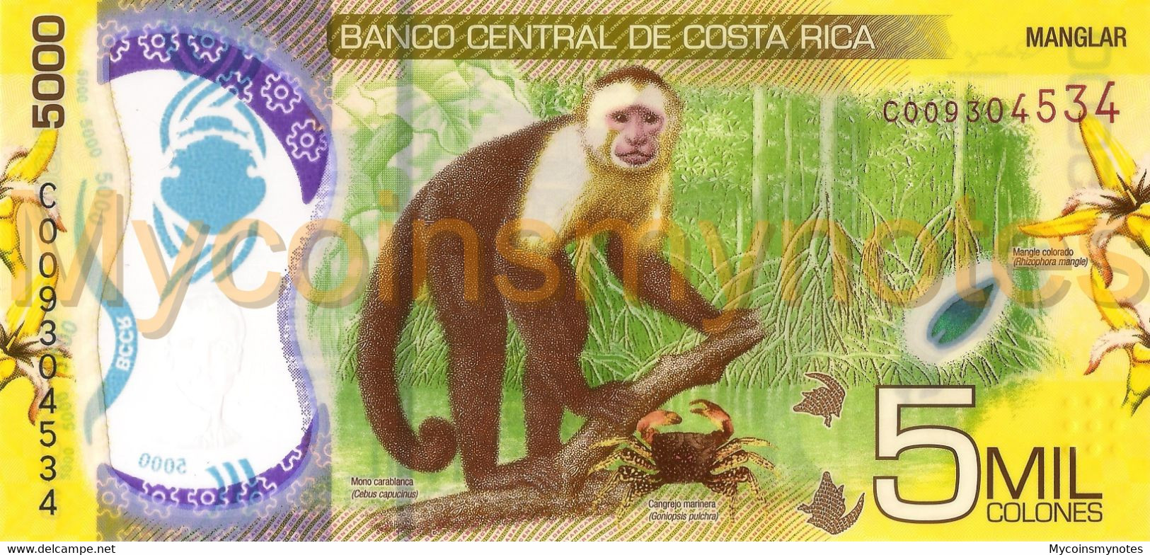 COSTA RICA 5000 Colones, 2018, Pick New, UNC - Costa Rica