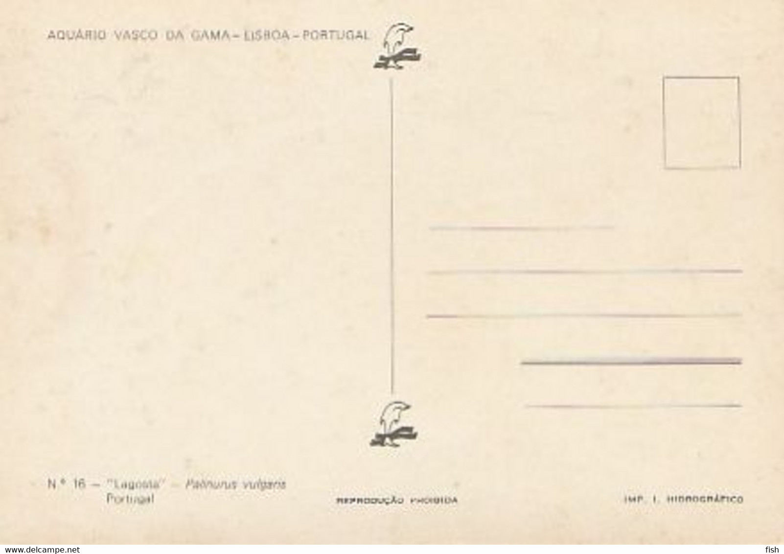 Mozambique &  Maximum Card, Crustáceo, Lagosta, Palinurus Vulgaris, Aquário Vasco Da Gama, Lisboa, Beira 1982 (16A) - Mozambique