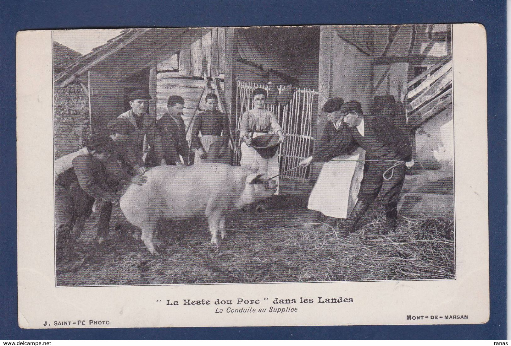 CPA [40] Landes > Mont De Marsan Métier Cochon Pig Non Circulé - Mont De Marsan