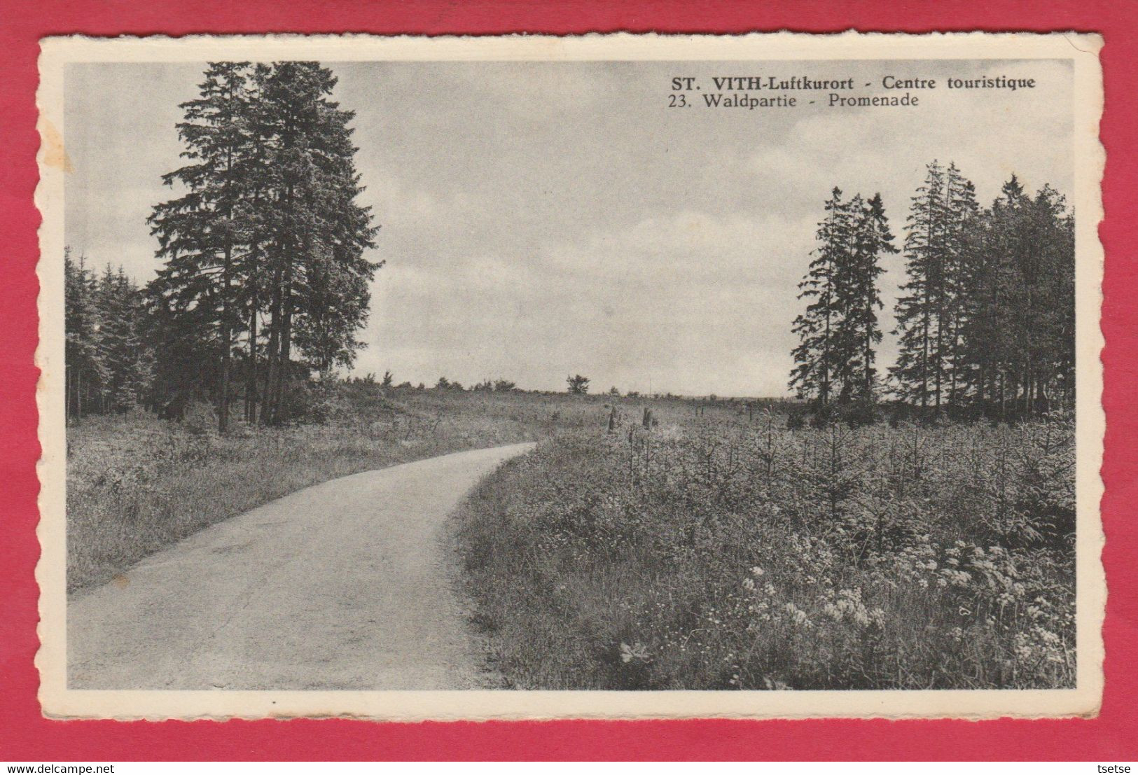 St. Vith - Waldpartie - Promenade  ( Voir Verso ) - Saint-Vith - Sankt Vith