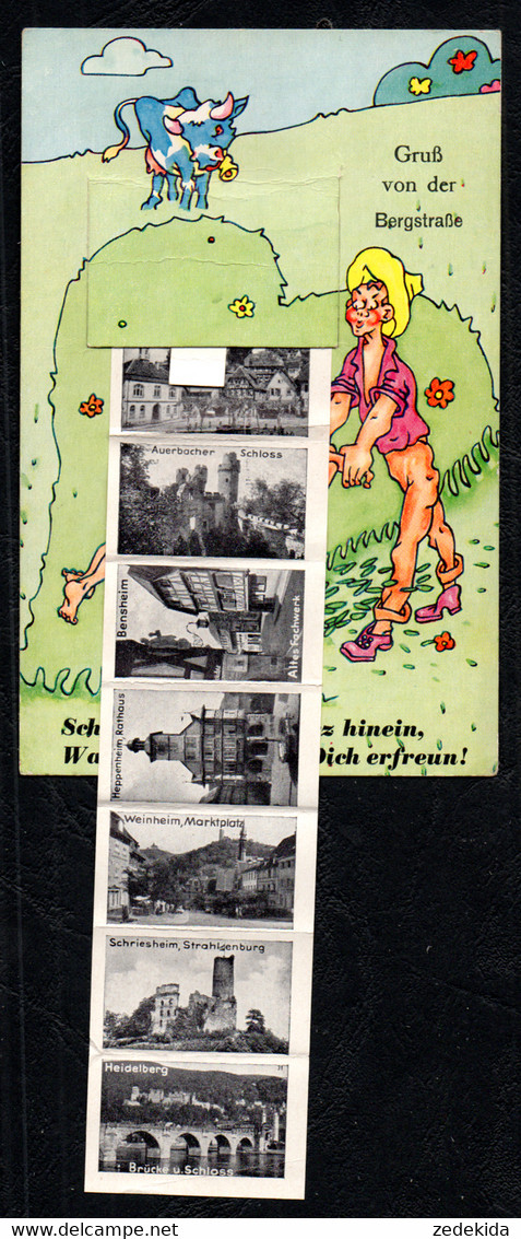 F6486 - Bergstraße Leporello Karte Humor Scherzkarte - Verlag Wilhelm Gerling Darmstadt - Heppenheim